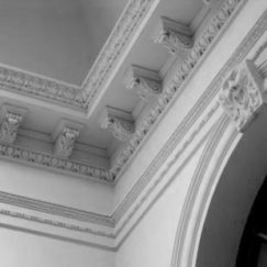 Ornate Ceiling Cornices